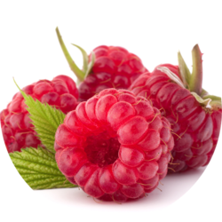 Balm vinegar Raspberry