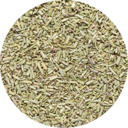 Rosmarin geschnitten