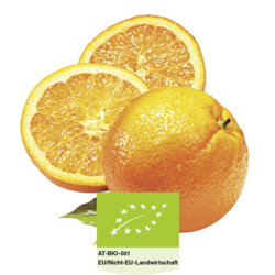Orangen Alpendrink Bio-Sirup 1+6