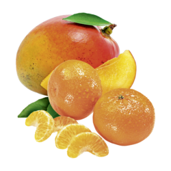 Alpendrink Nectar 1+6 Tangerine Mango