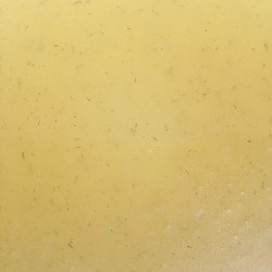 Honey-Mustard instant mix