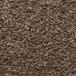 Caraway seeds whole