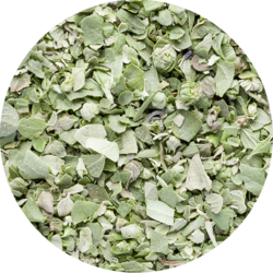 Majoram freeze-dried