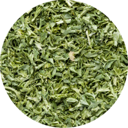 Parsley freeze-dried
