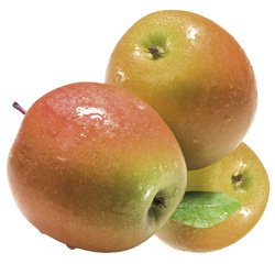 Alpendrink Apfel 100% BIB 1+4