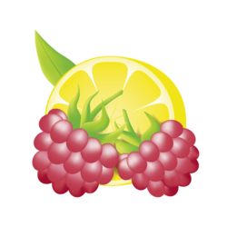 Alpendrink Basic 1+6 Himbeer-Zitrone
