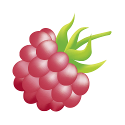 Alpendrink Basic 1+6 Raspberry