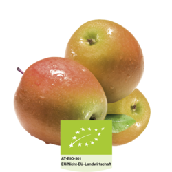 Apfel Alpendrink Bio-Sirup 1+6