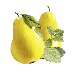 Alpendrink Classic 1+19 Pear-Balm
