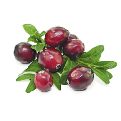 Alpendrink Classic 1+19 Cranberry