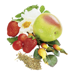 Alpendrink Classic 1+19  Red Fruits & Tea