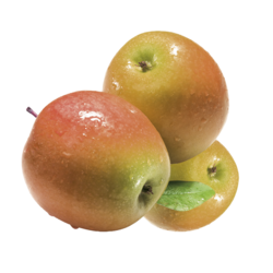 Alpendrink  Nektar 1+6 Apfel