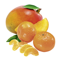 Alpendrink Nektar 1+6 Mandarine-Mango