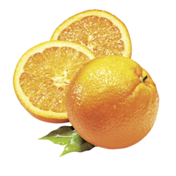 Alpendrink Nektar 1+6 Orange