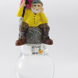 Walker Steinbeisser Apricot 35% vol. 0,04 l